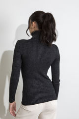 Picture of Turtleneck lurex knitted blouse