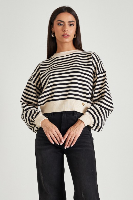 Picture of Stripped cropped sweater